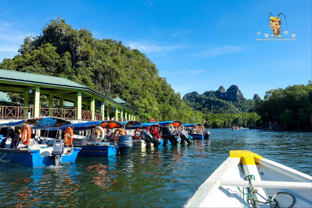 Jelajahi Mangrove Langkawi: Tur yang Menakjubkan